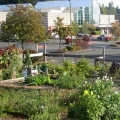 Creative Integrated Community