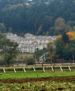 Kent Valley Heritage Farm adjacent to suburban development.  