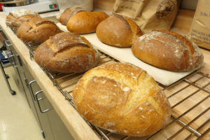 Test bread loaves in the Washington State University bread lab