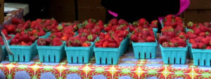 Hayton Farms Strawberrries