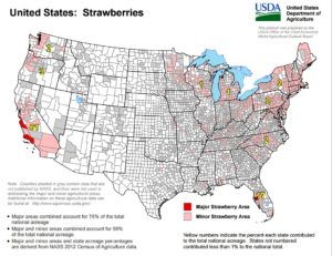U.S. Strawberry Production Map