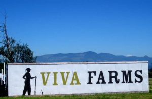 Viva Farms located on Highway 20 at the entrance to the Port of Skagit County