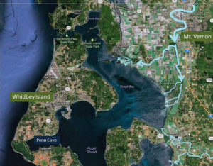 The route of the Skagit and Stilliguamish Rivers that feed Skagit Bay and Penn Cove