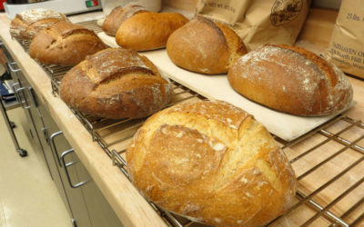 Bread:  The Ubiquitous Food