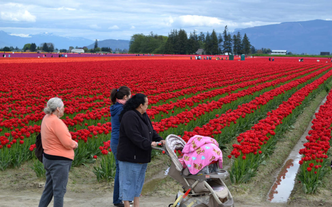 The Land That Feeds Us: Skagit Valley