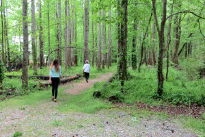 Walking Paths & Constructed Swales